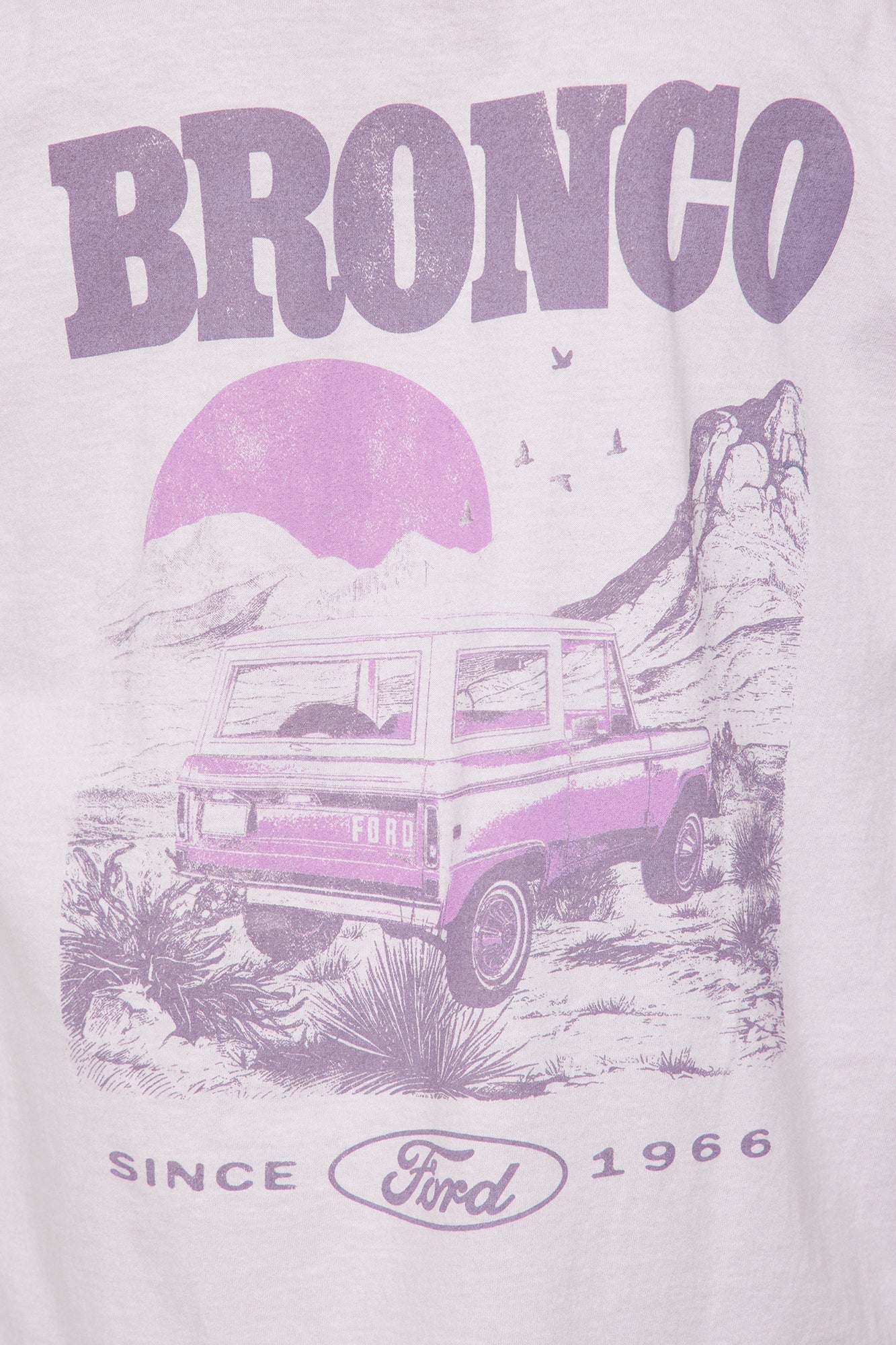 Ford Logo Washed Bronco Tee - Sand