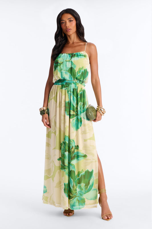 Radiant Beauty Mesh Maxi Dress - Green/combo
