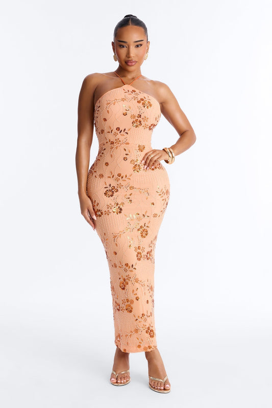Josephine Embellished Mesh Maxi Dress - Orange