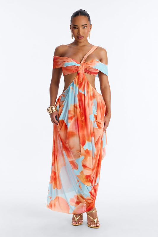She Gets Her Way Mesh Maxi Dress - Blue/combo