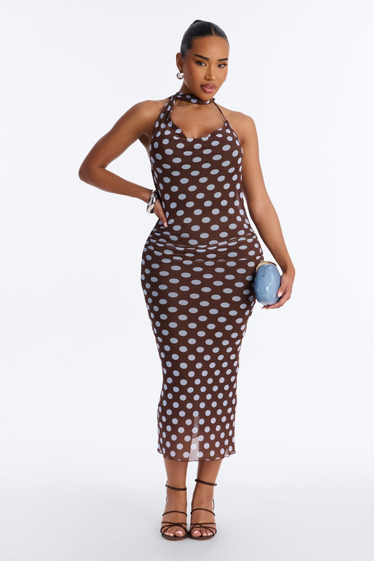 Sweet Spot Polka Dot Mesh Midi Dress - Brown/combo
