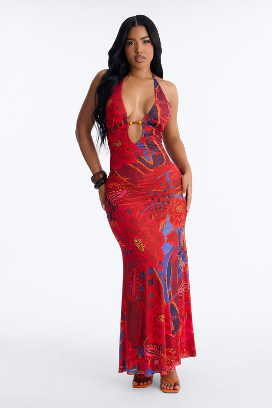 Island Diva Backless Mesh Maxi Dress - Red/combo