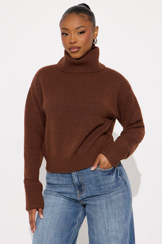Healing Therapy Turtle Neck Sweater - Chocolate