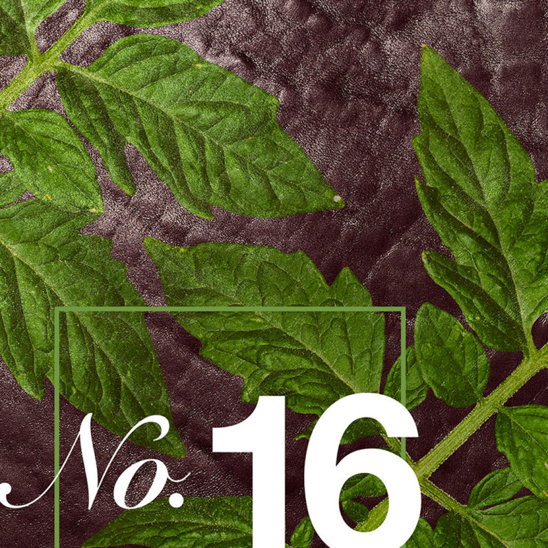 Scent No. 16 Tomato Leather