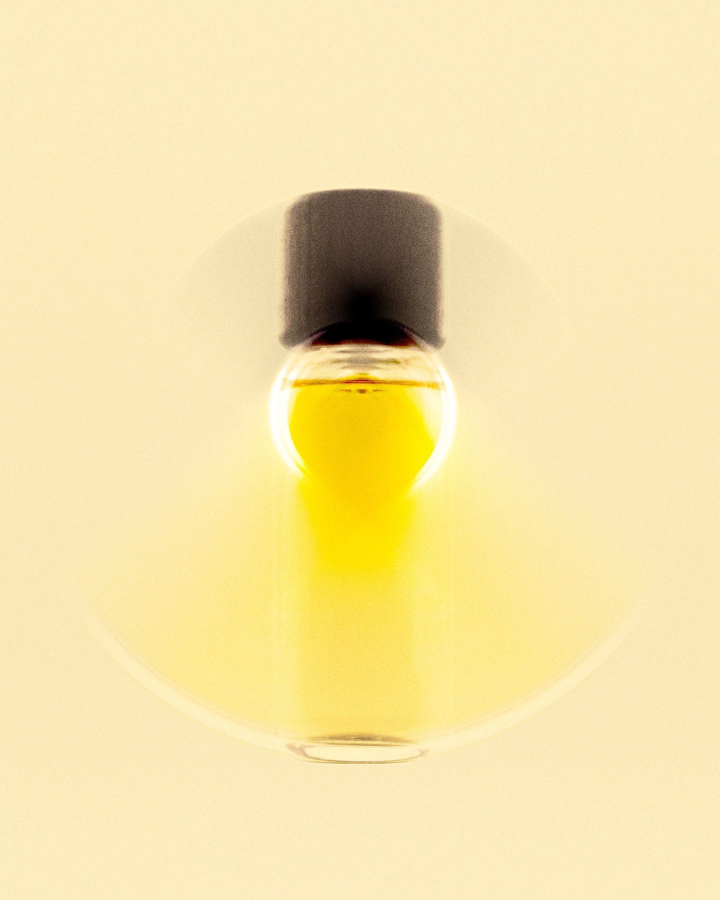 Grano 麦