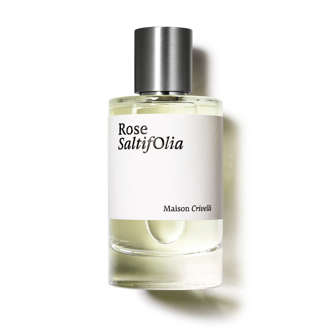 Rose Saltifolia