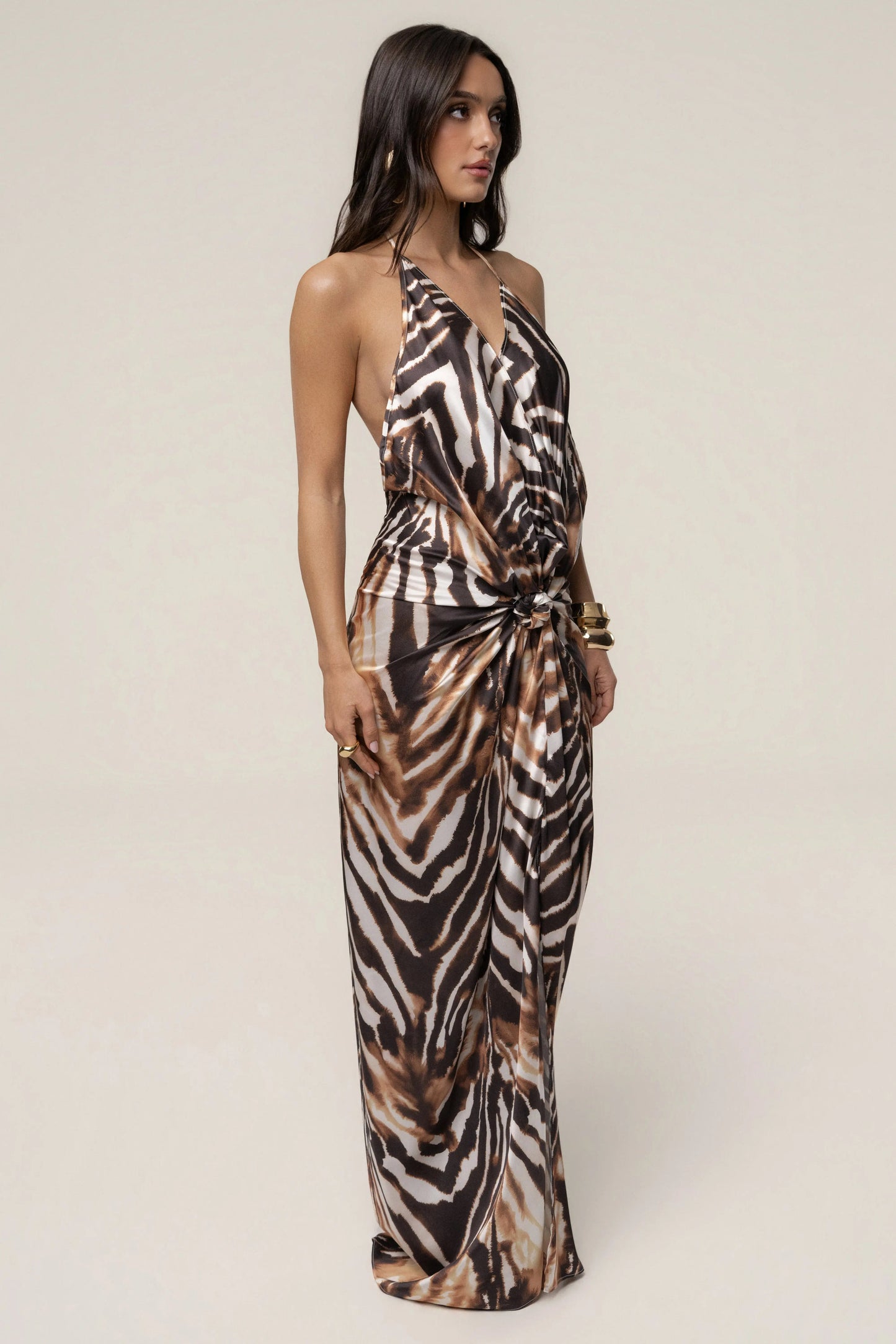 Multi Desert Muse Print Maxi Dress