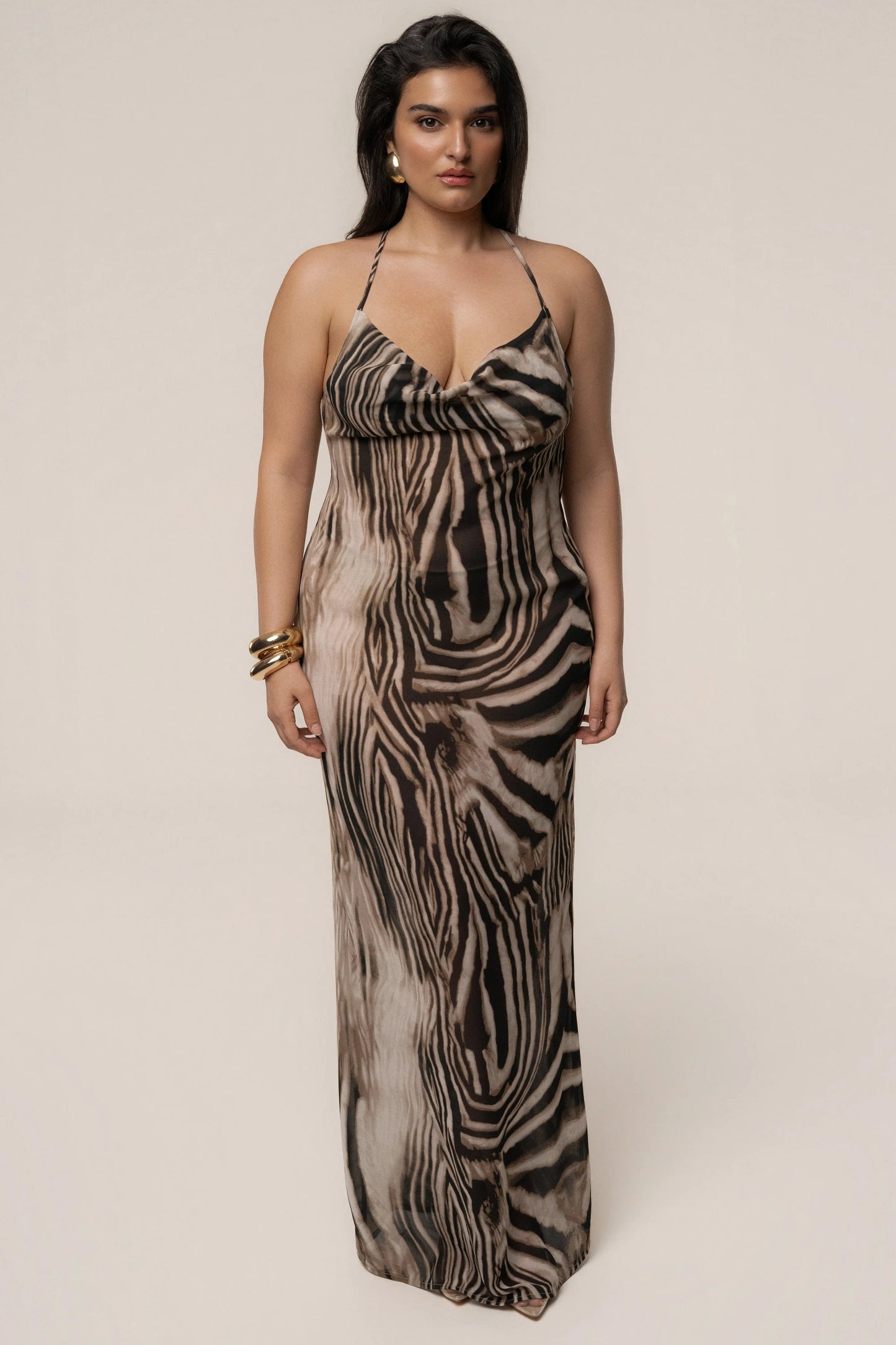 Brown Zebra Print Infinite Journey Maxi Dress