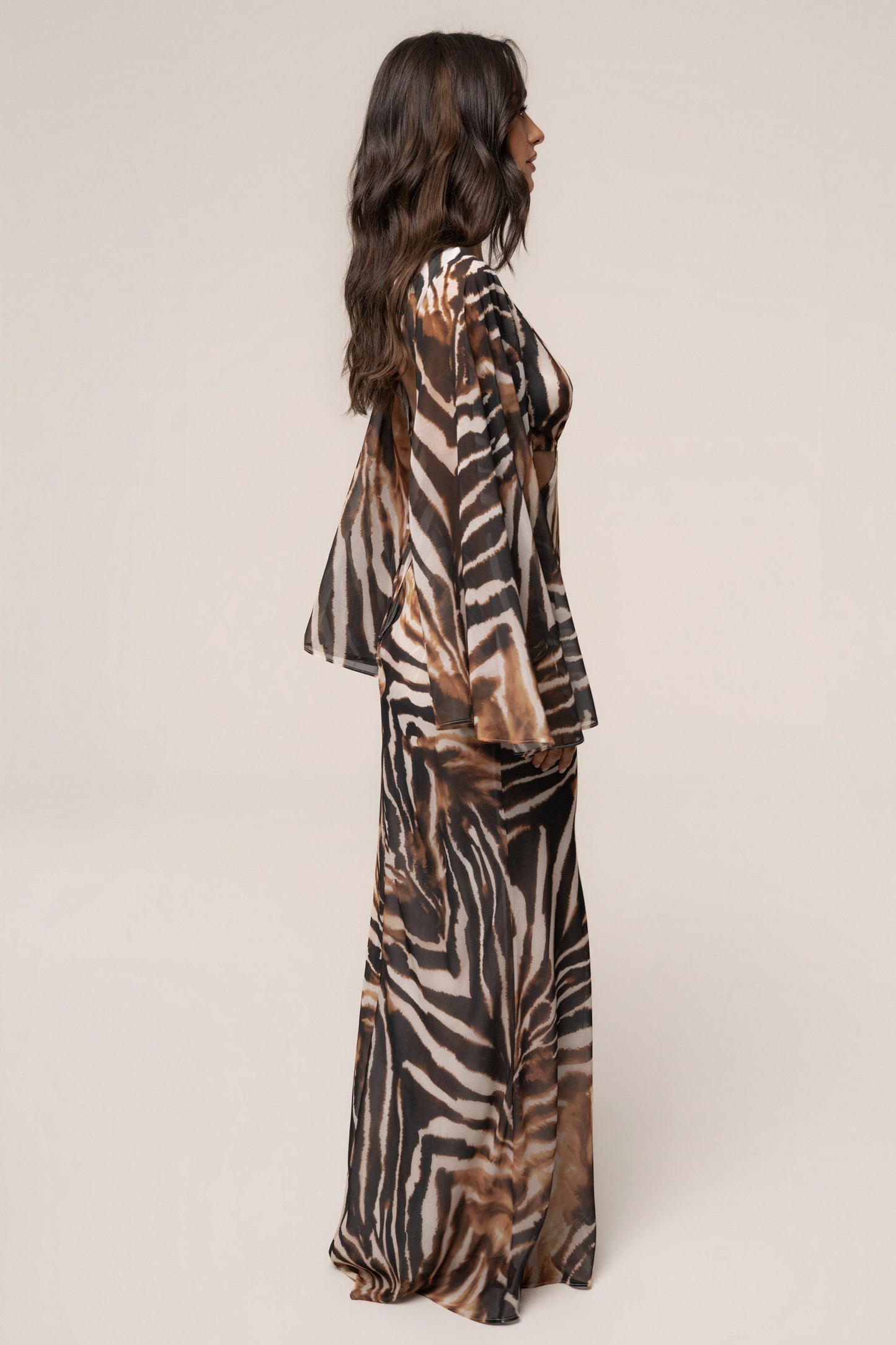 Brown Zebra Instincts Print Maxi Dress