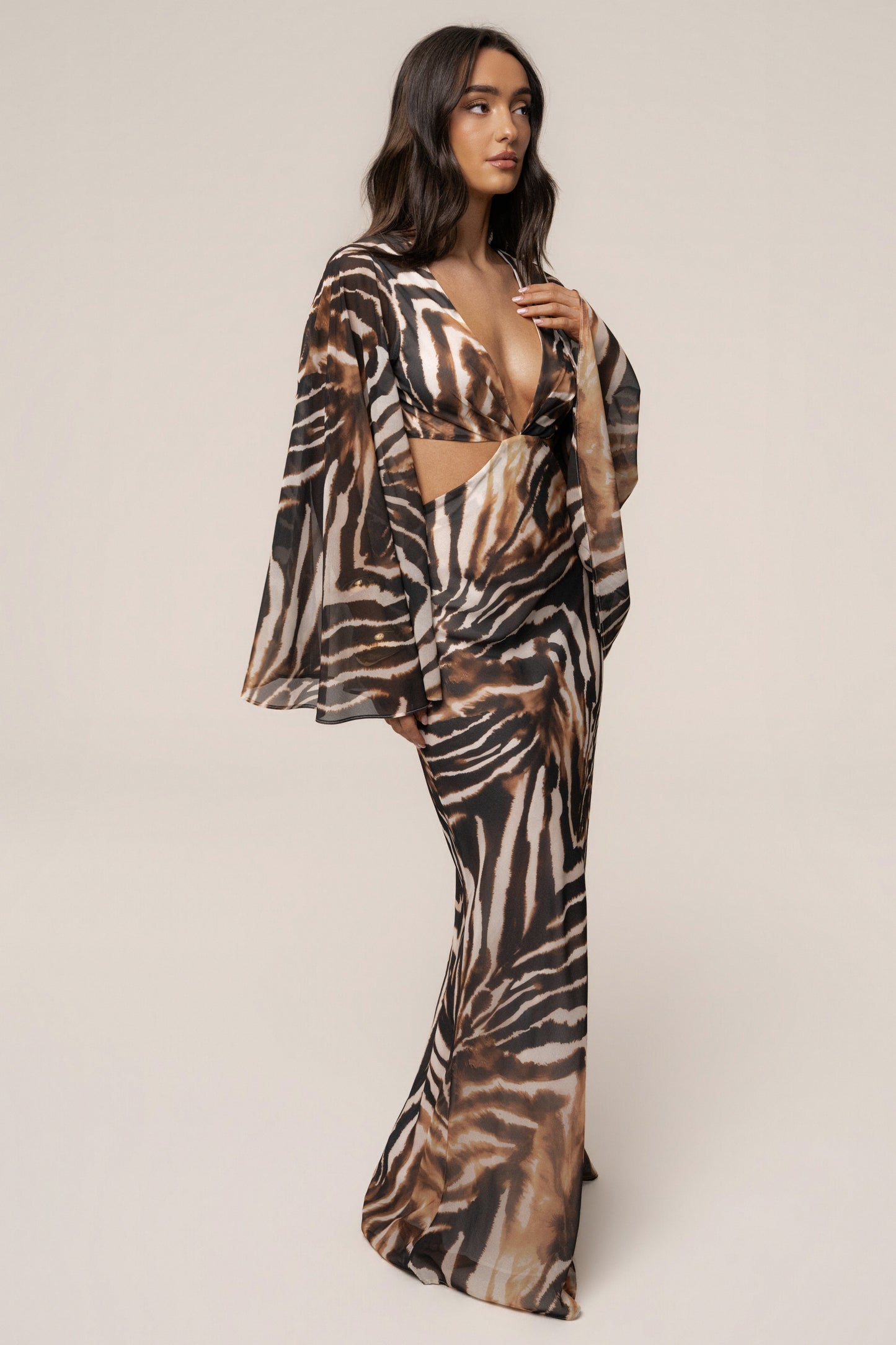 Brown Zebra Instincts Print Maxi Dress