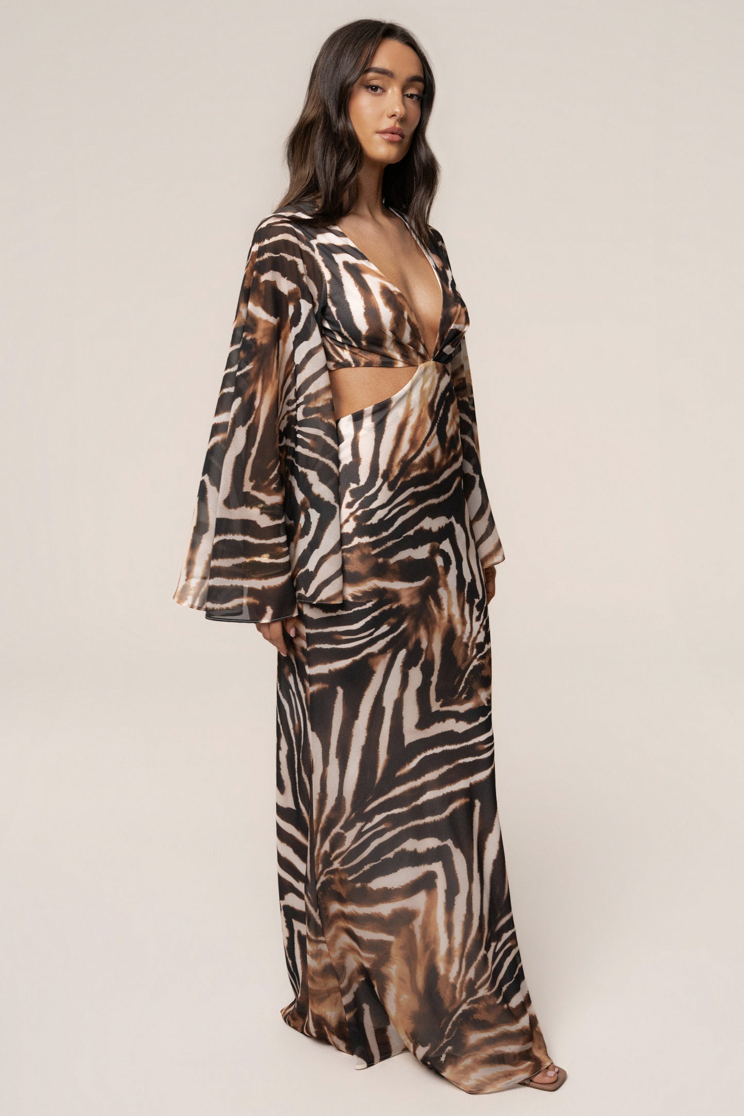 Brown Zebra Instincts Print Maxi Dress