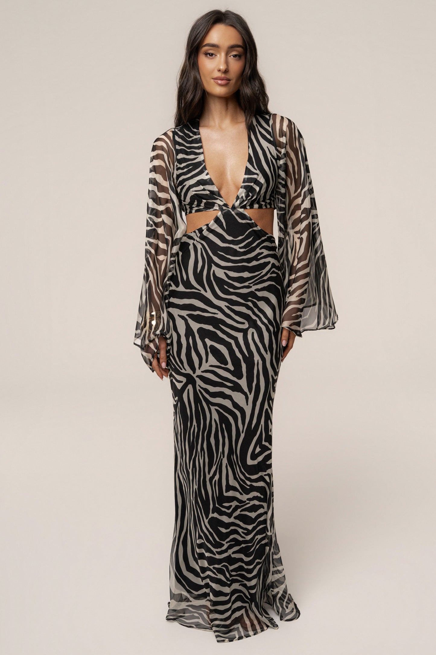 Black Zebra Instincts Print Maxi Dress