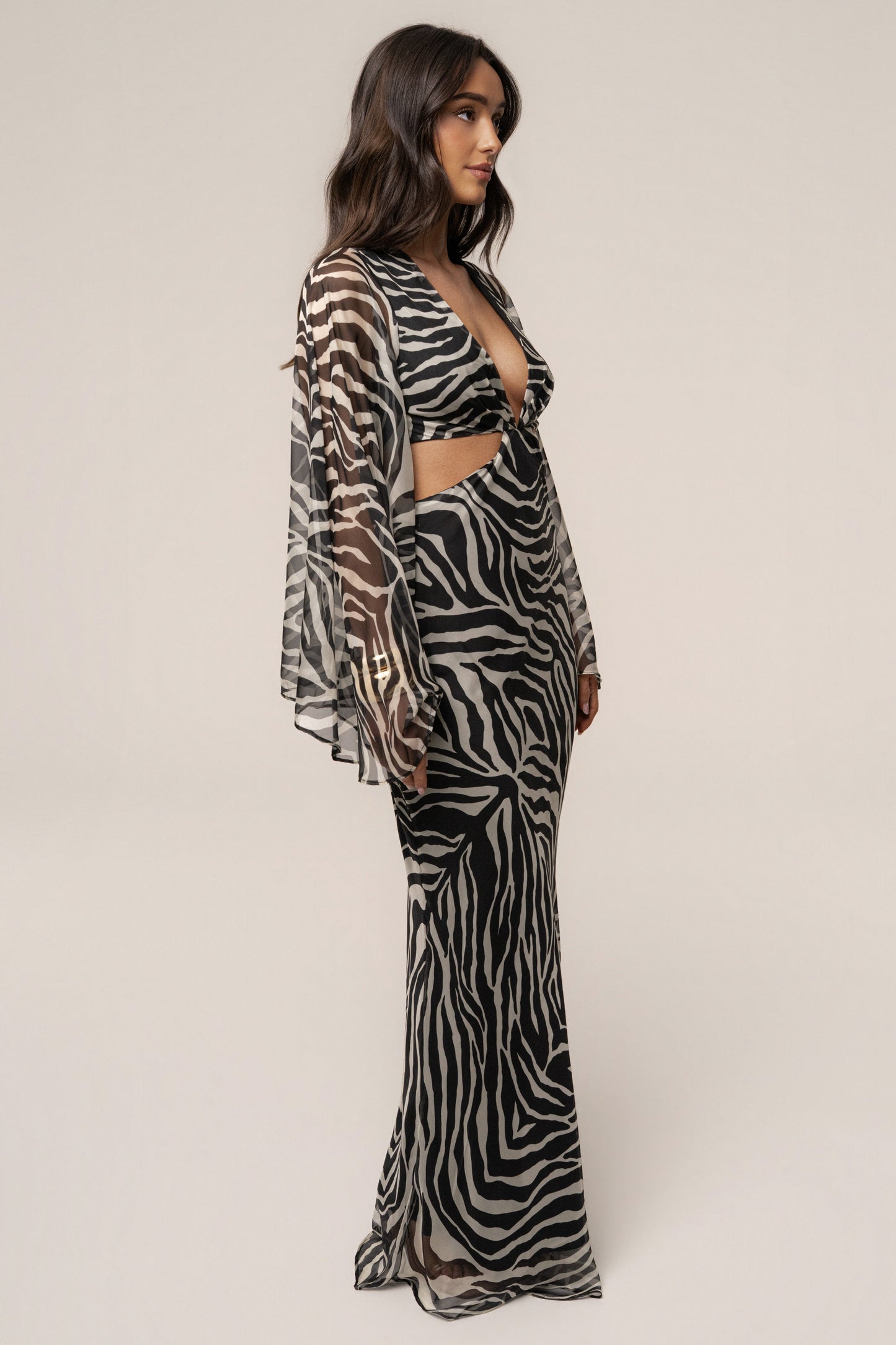 Black Zebra Instincts Print Maxi Dress