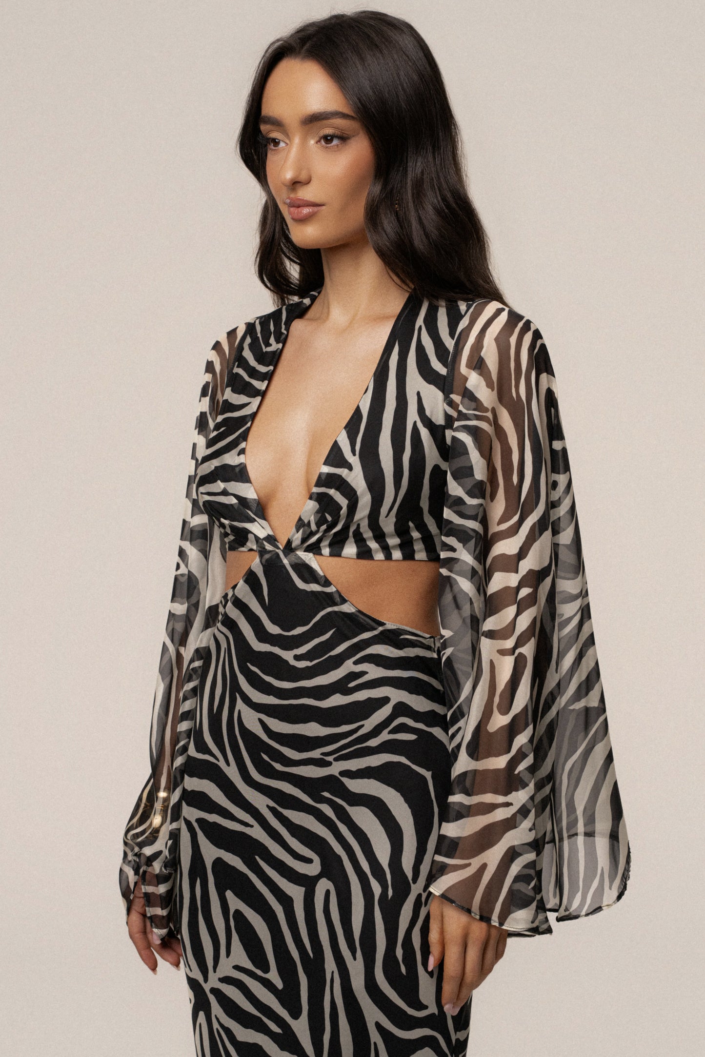Black Zebra Instincts Print Maxi Dress