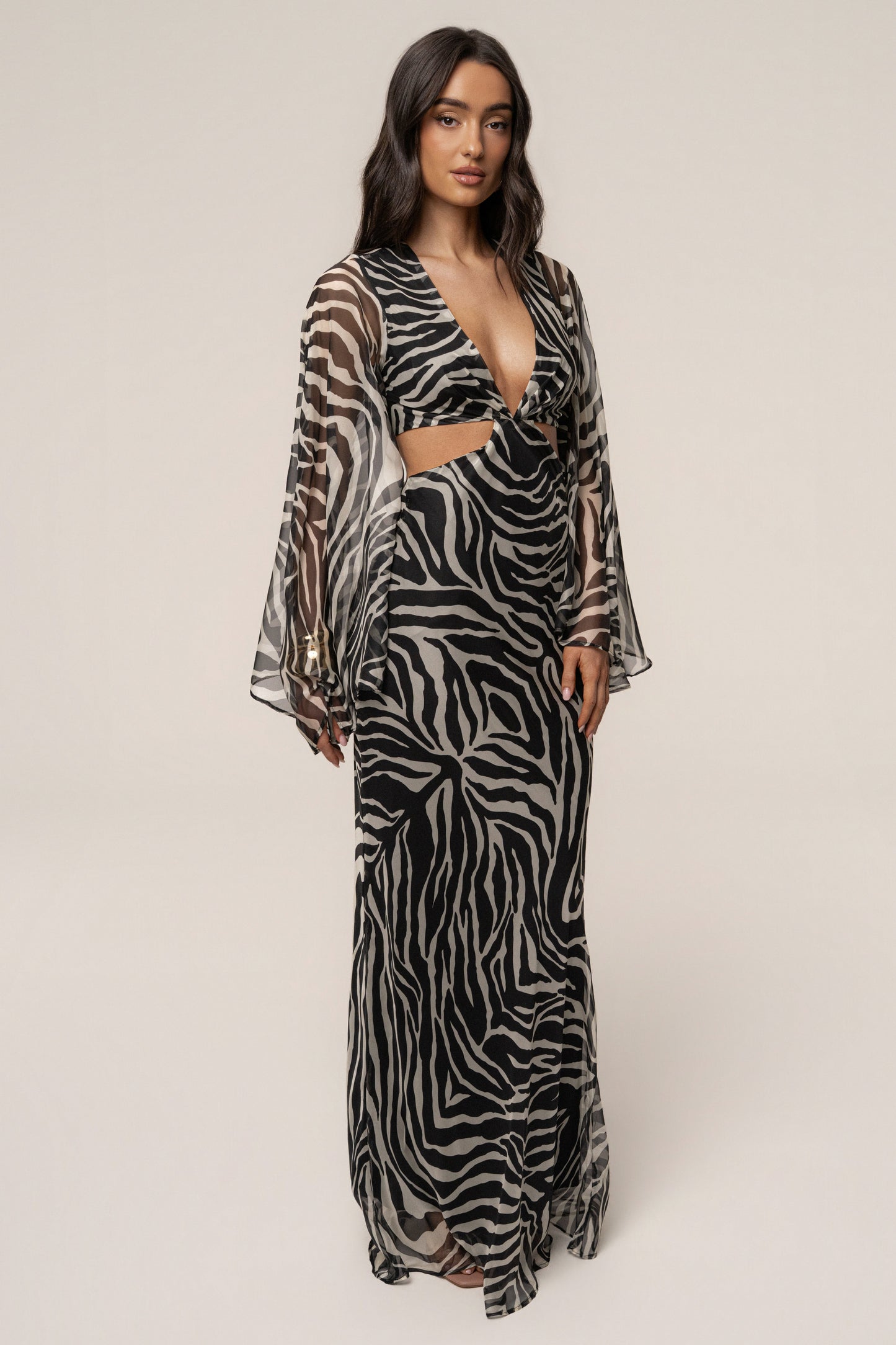 Black Zebra Instincts Print Maxi Dress