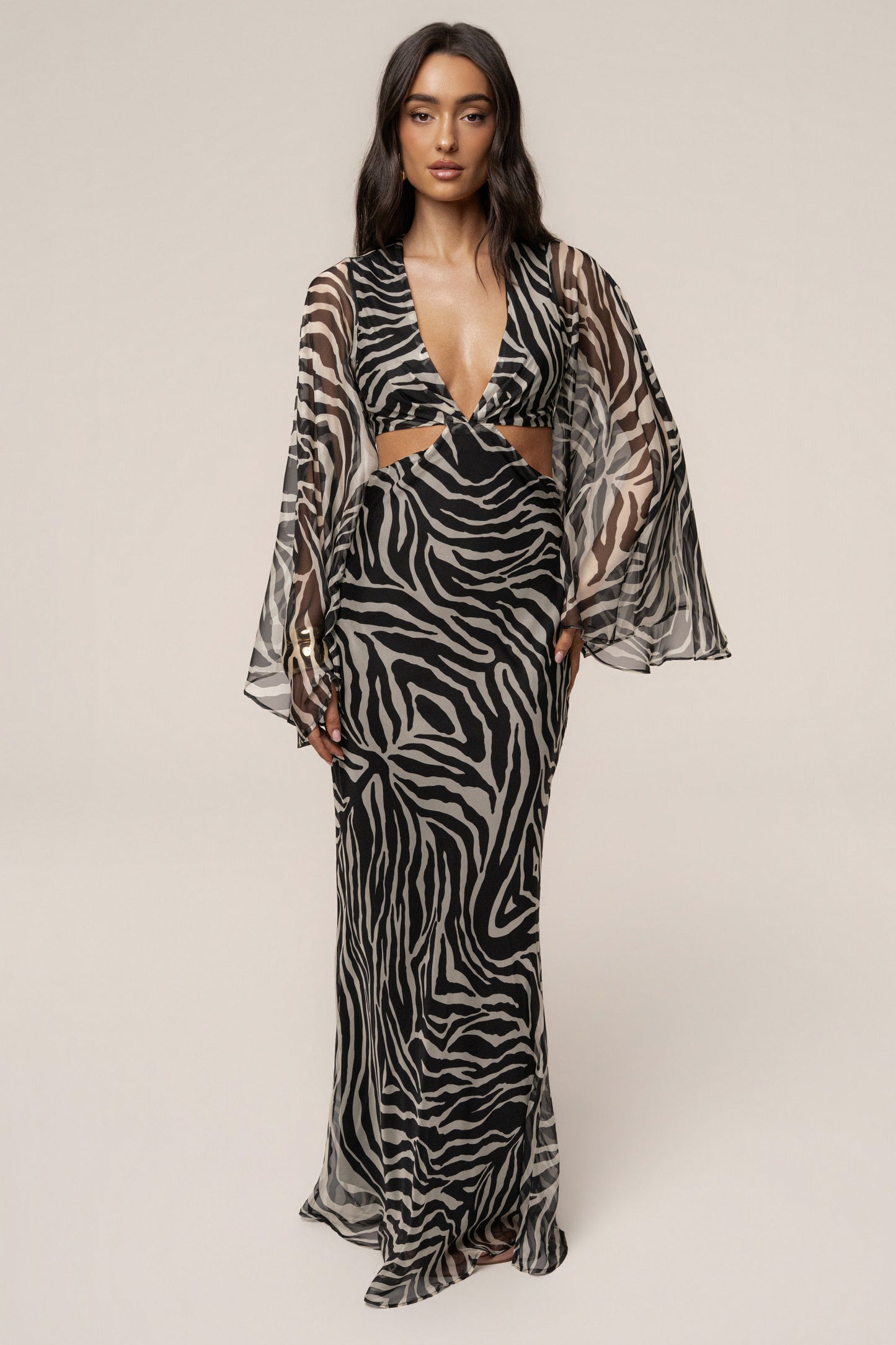 Black Zebra Instincts Print Maxi Dress