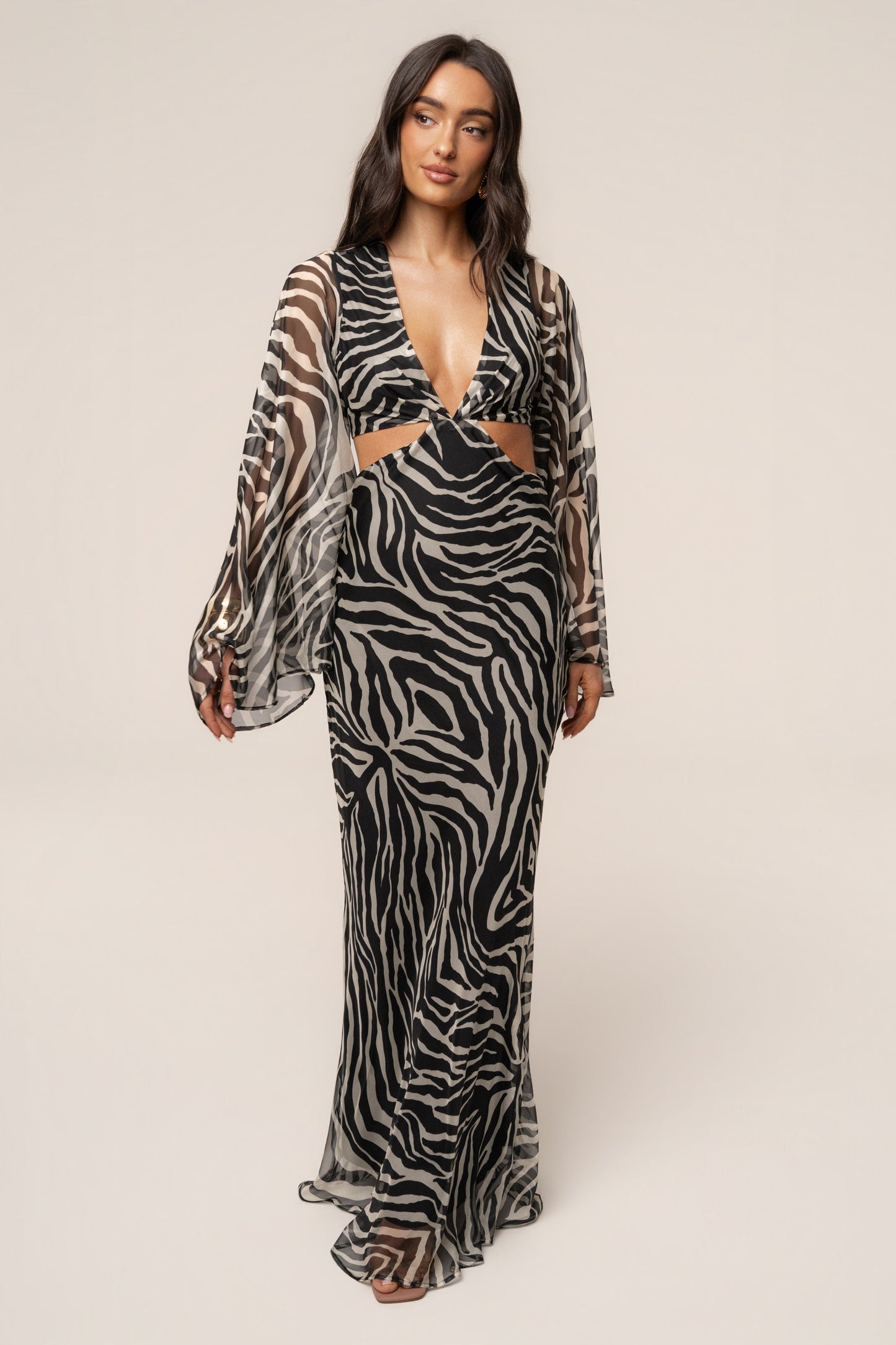 Black Zebra Instincts Print Maxi Dress