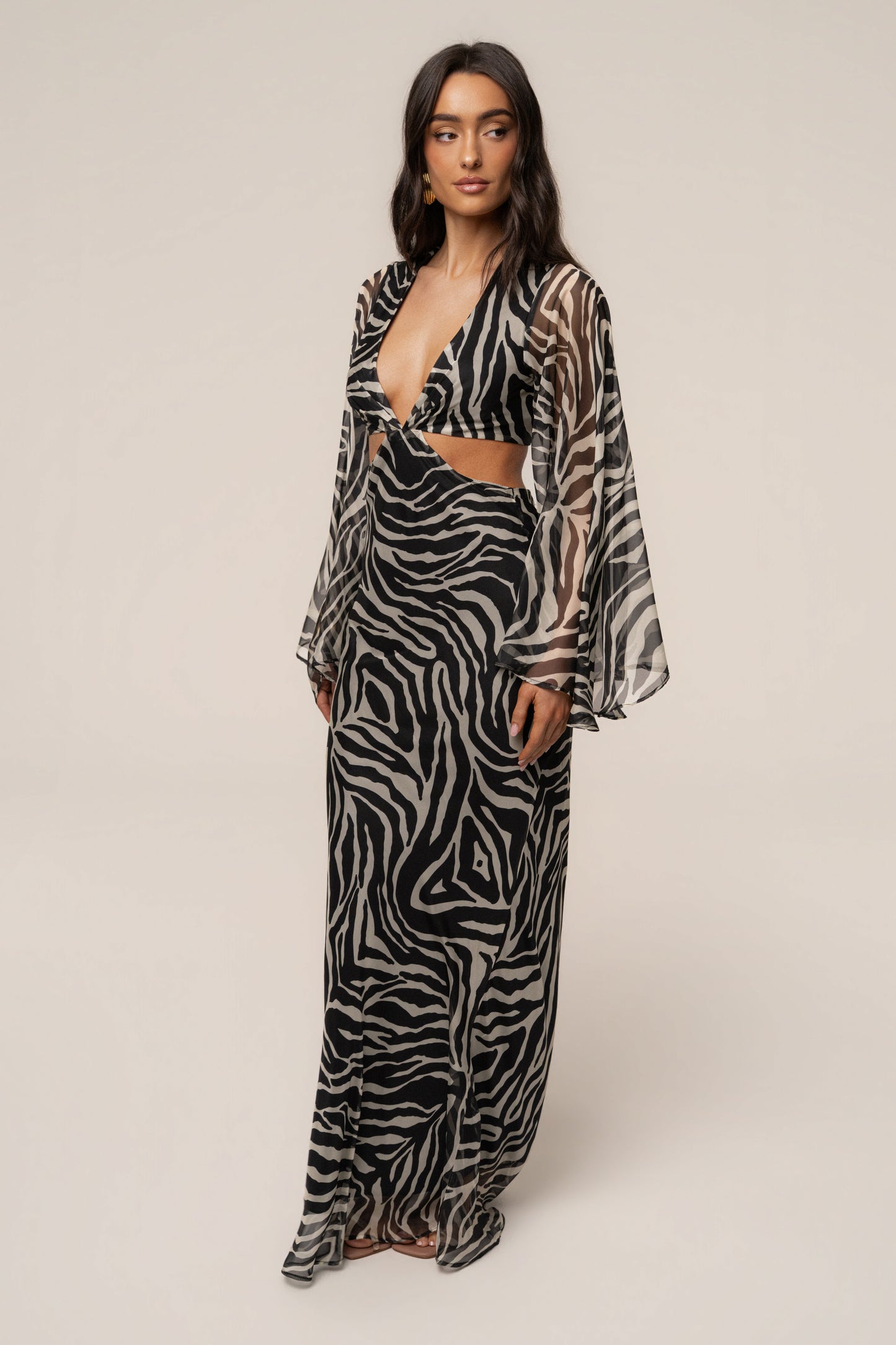 Black Zebra Instincts Print Maxi Dress