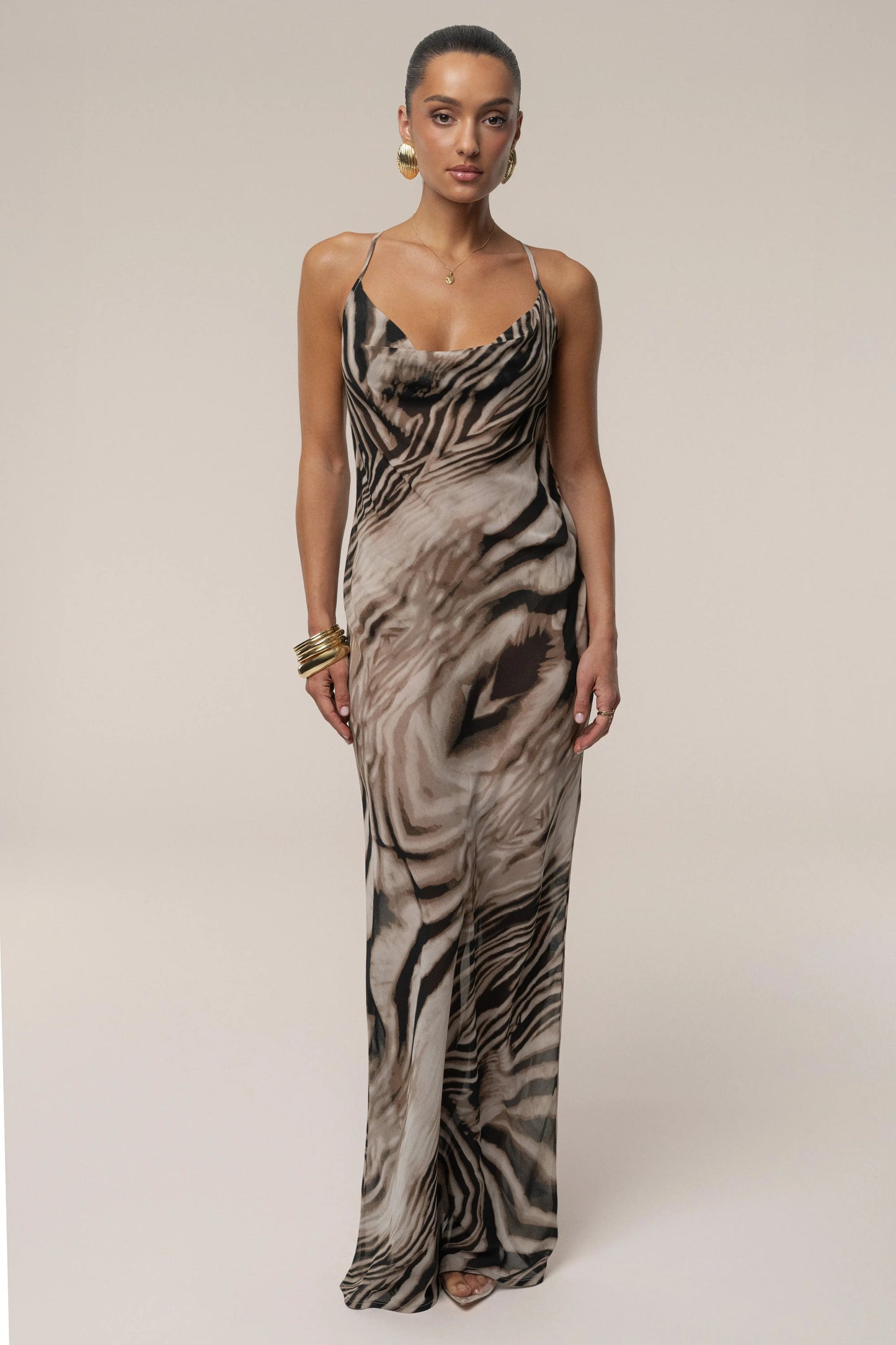 Brown Zebra Print Infinite Journey Maxi Dress