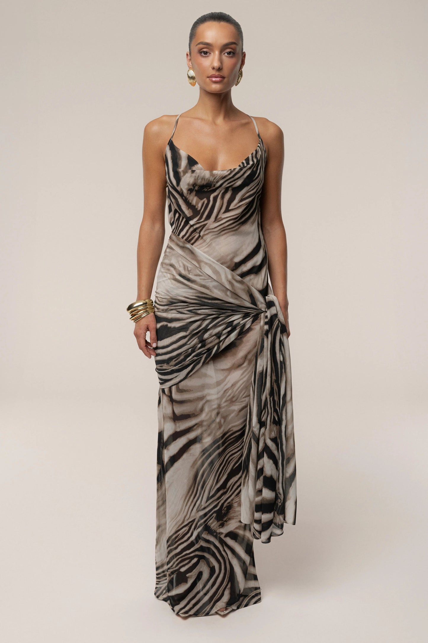 Brown Zebra Print Infinite Journey Maxi Dress