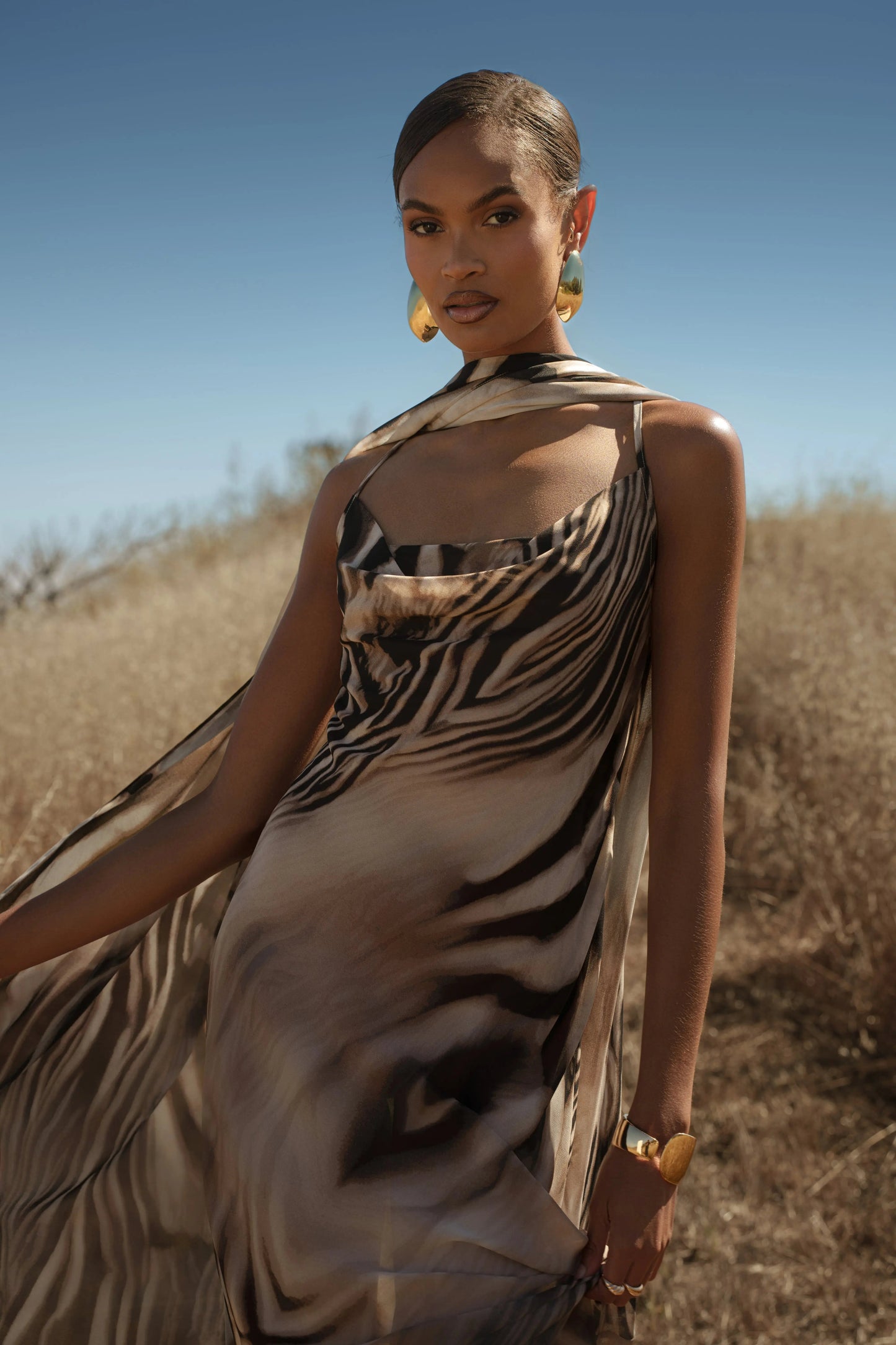 Brown Zebra Print Infinite Journey Maxi Dress
