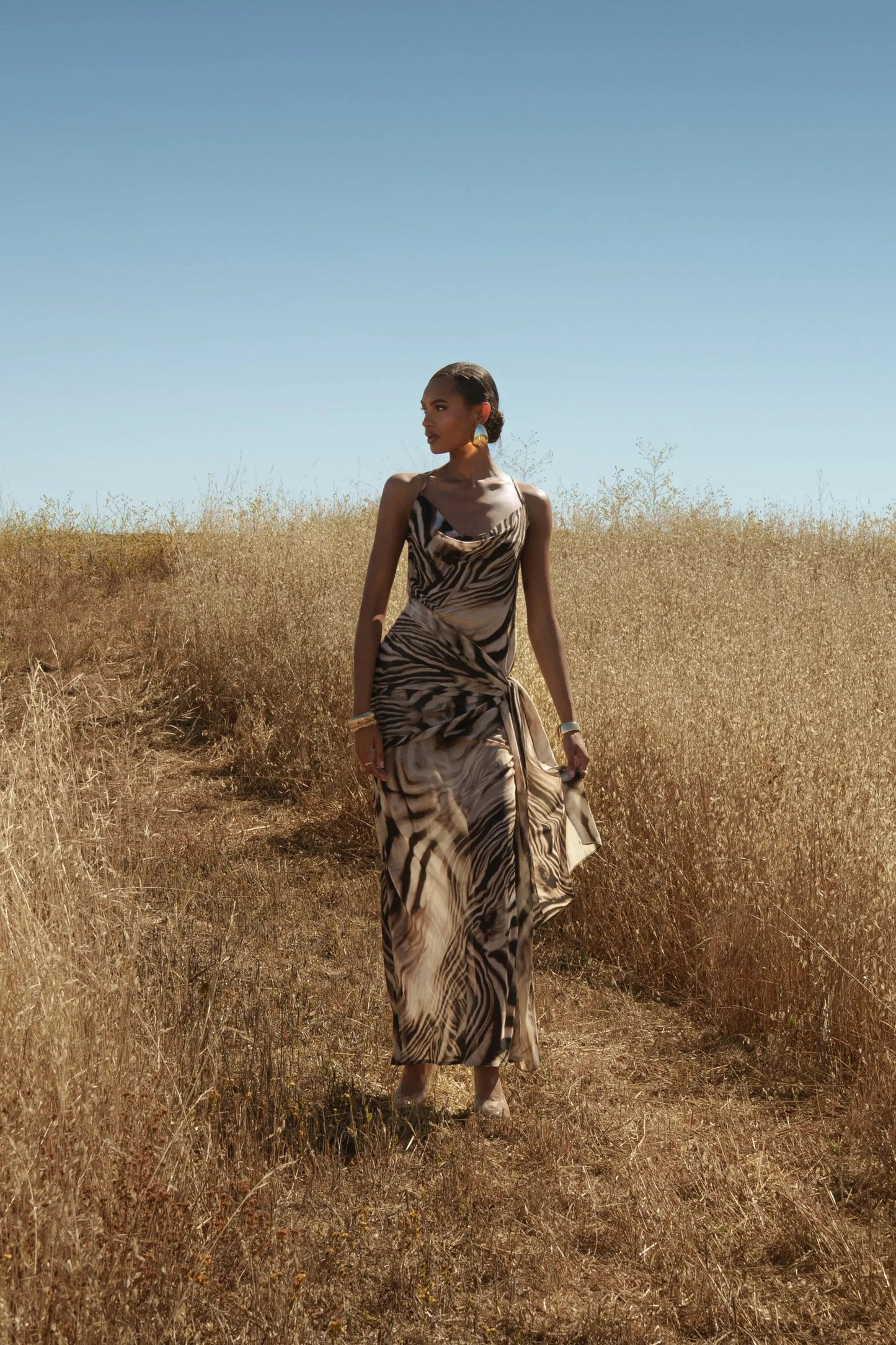Brown Zebra Print Infinite Journey Maxi Dress