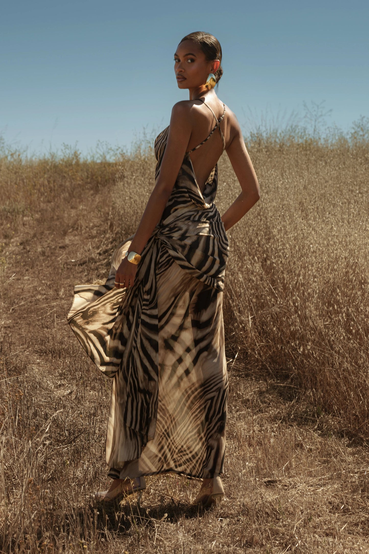 Brown Zebra Print Infinite Journey Maxi Dress
