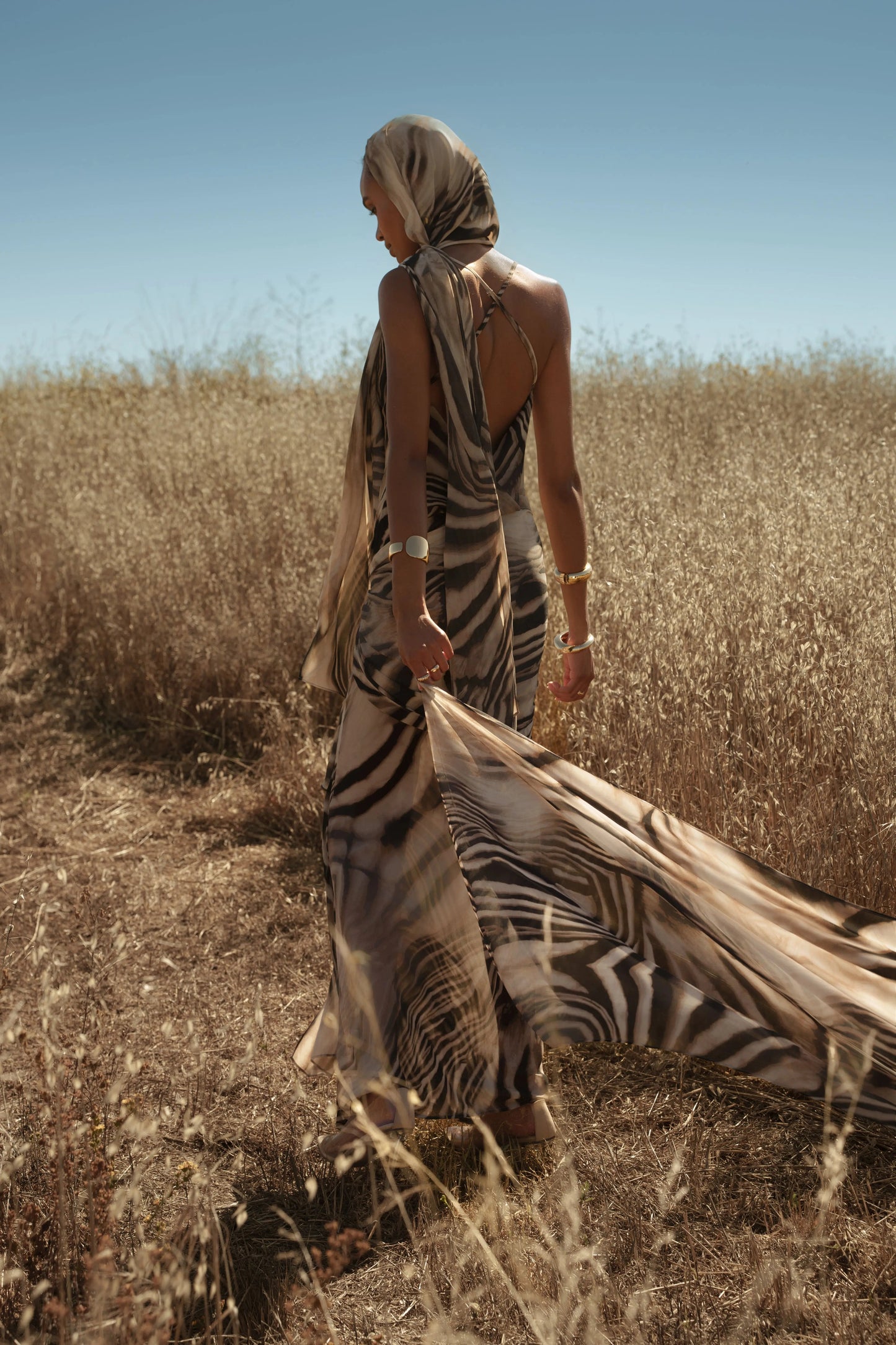 Brown Zebra Print Infinite Journey Maxi Dress