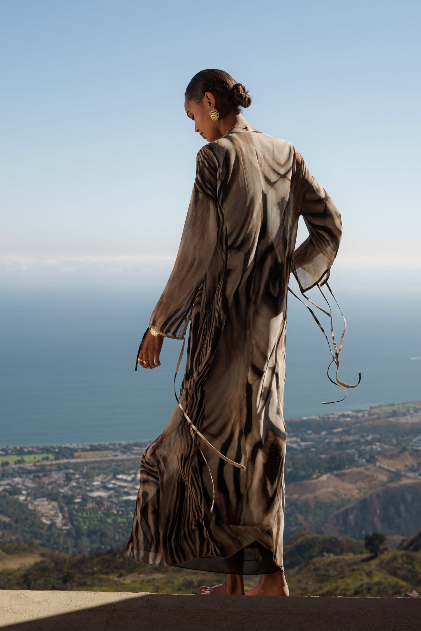 Brown Zebra Print New Vista Maxi Dress