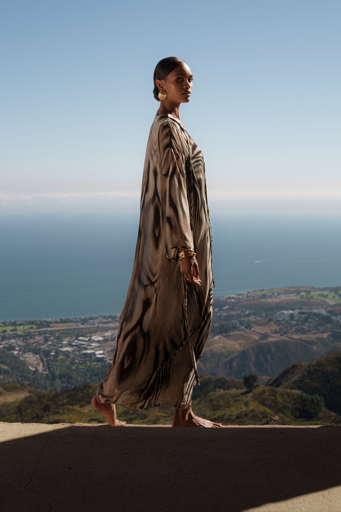Brown Zebra Print New Vista Maxi Dress