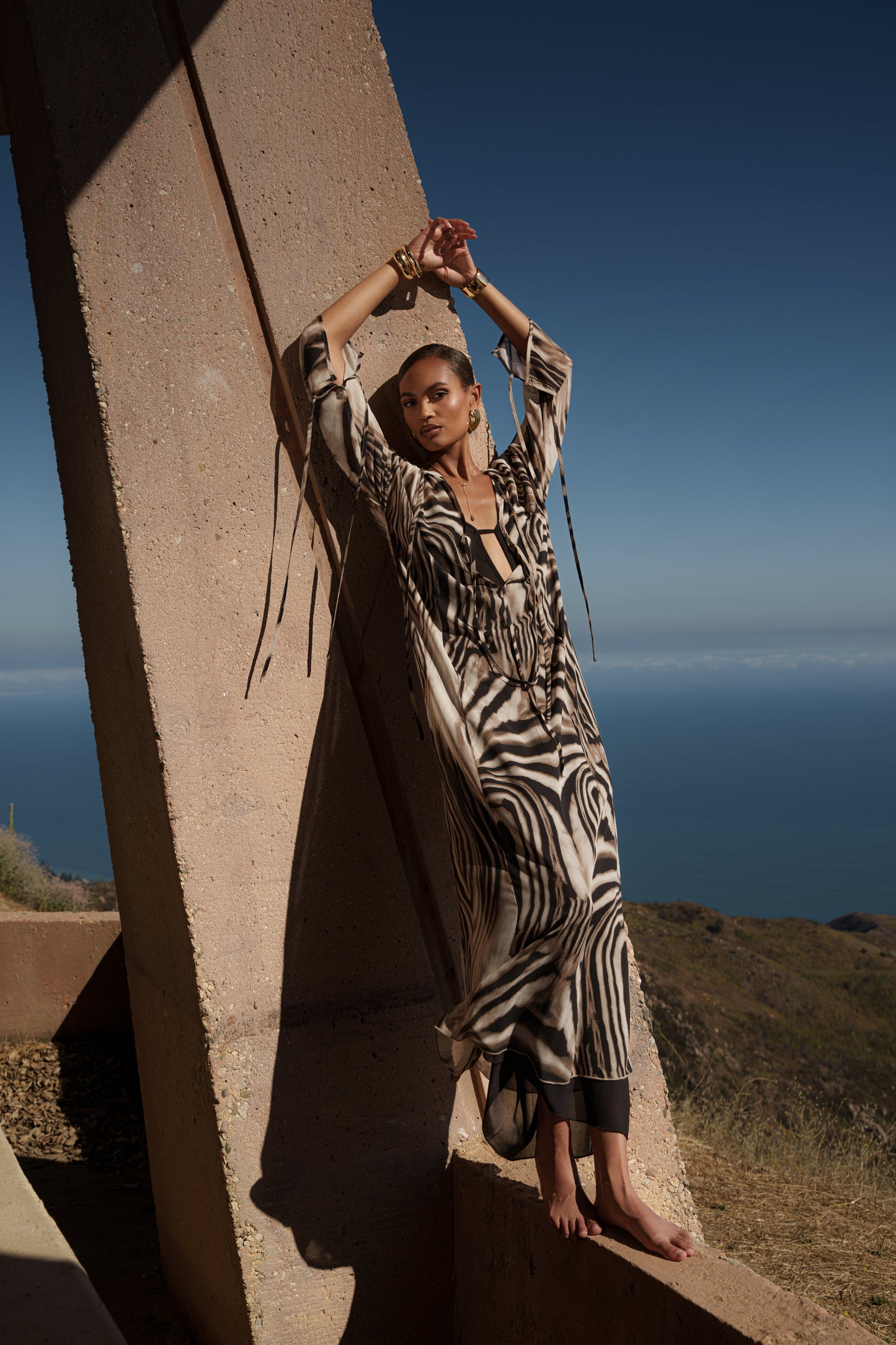 Brown Zebra Print New Vista Maxi Dress