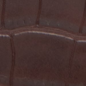 Aellaax