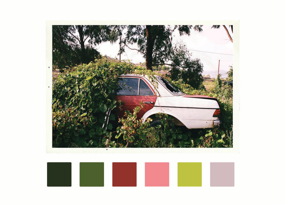 Voyeur Verde